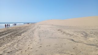 GC-Playa de Maspalomas 2026-141.jpg